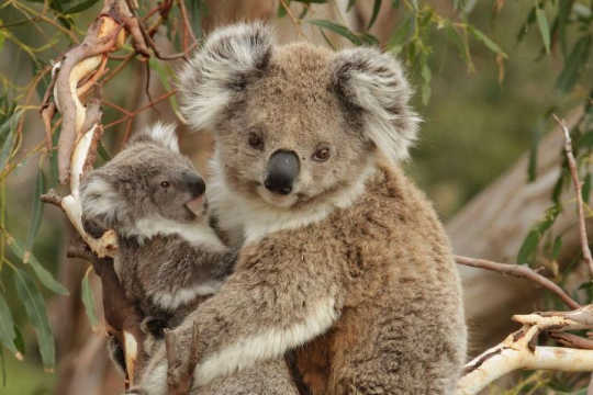 empathy for others 4 22